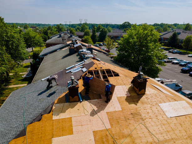 Roof Waterproofing Services in Fortuna, CA