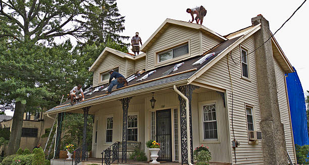 Best Roof Maintenance Services  in Fortuna, CA